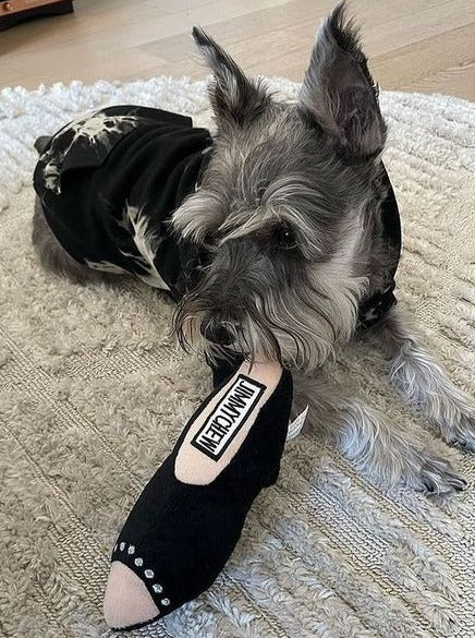 Jimmy Chew Shoe – Duo Studio Designs - Main Image