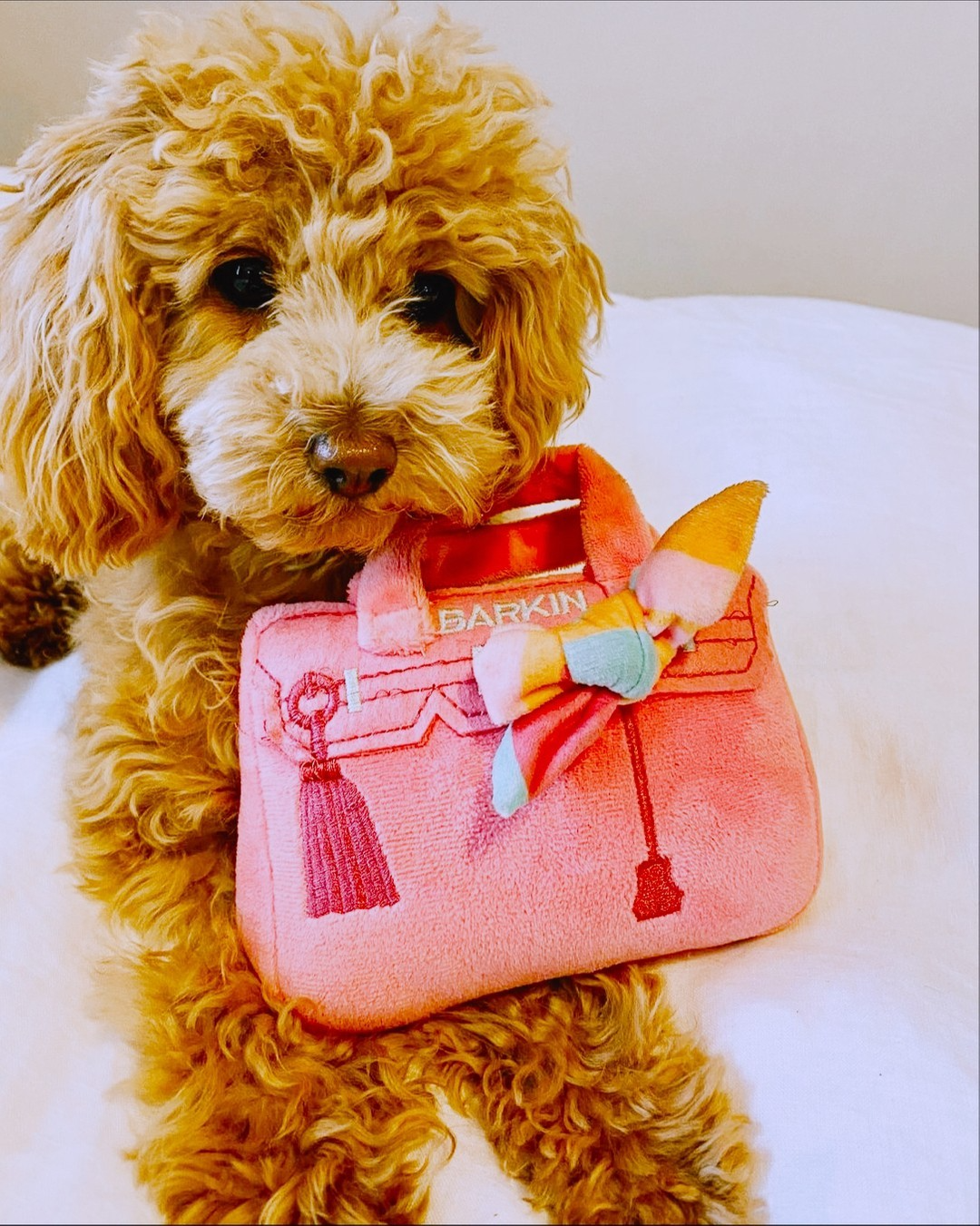 Dog Toy - Barkin Bag