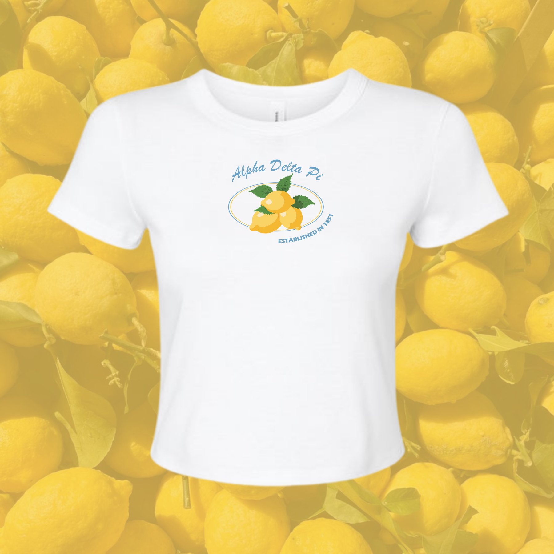 Alpha Delta Pi Sorority Main Squeeze Baby Tee