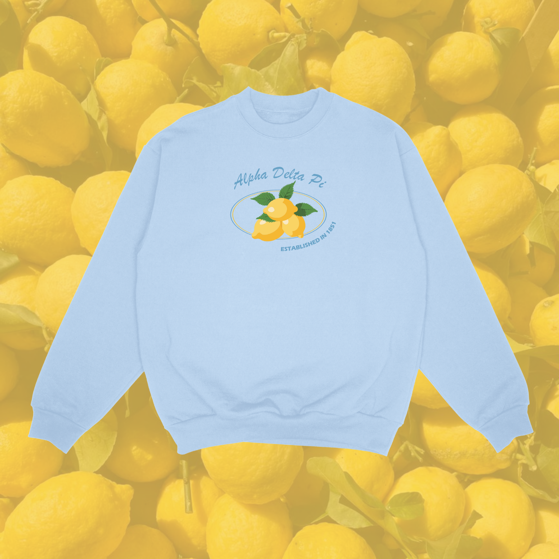 Alpha Delta Pi Sorority Main Squeeze Crewneck Sweatshirt