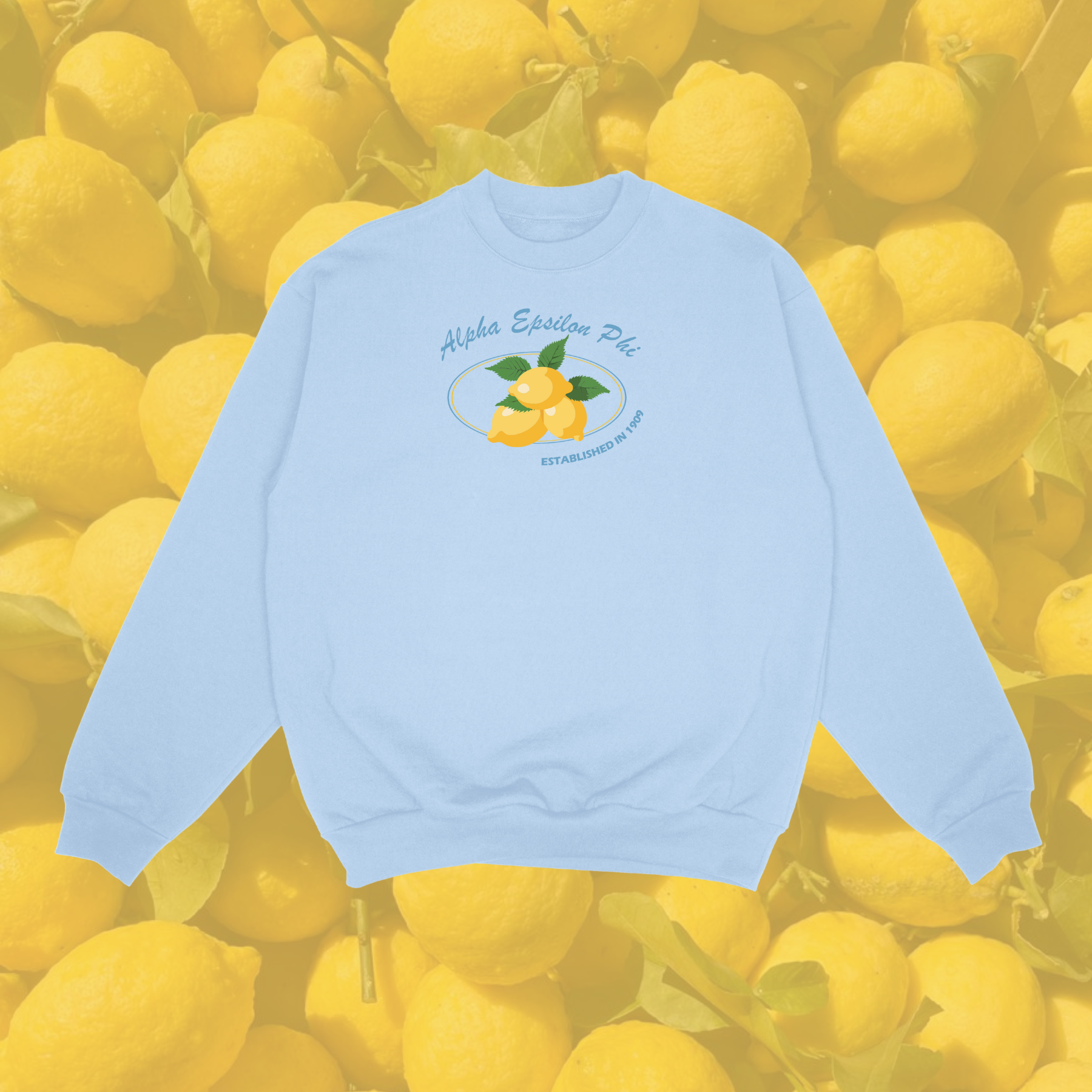 Alpha Epsilon Phi Sorority Main Squeeze Crewneck Sweatshirt