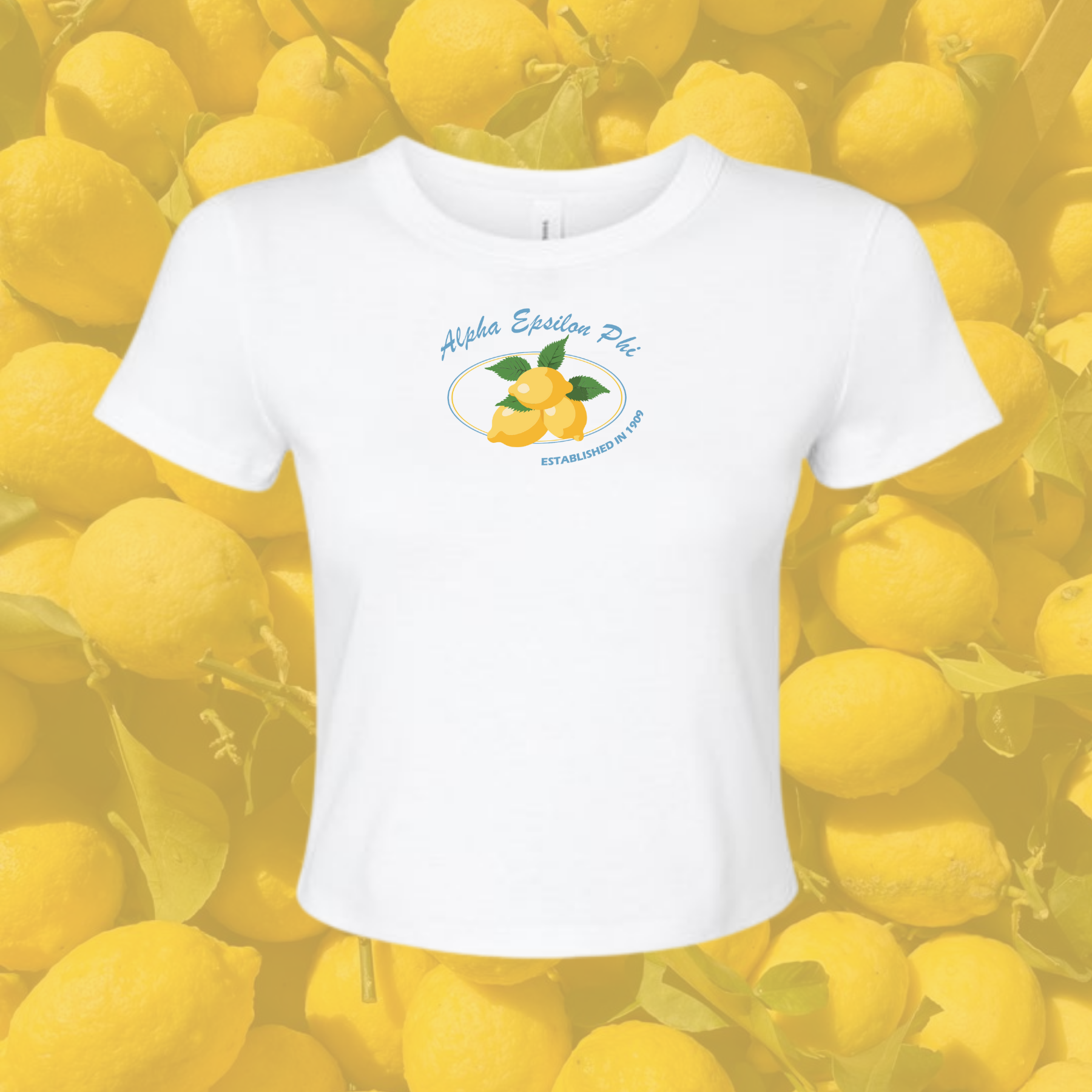 Alpha Epsilon Phi Sorority Main Squeeze Baby Tee
