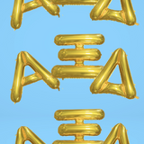 Alpha Xi Delta Balloon Set