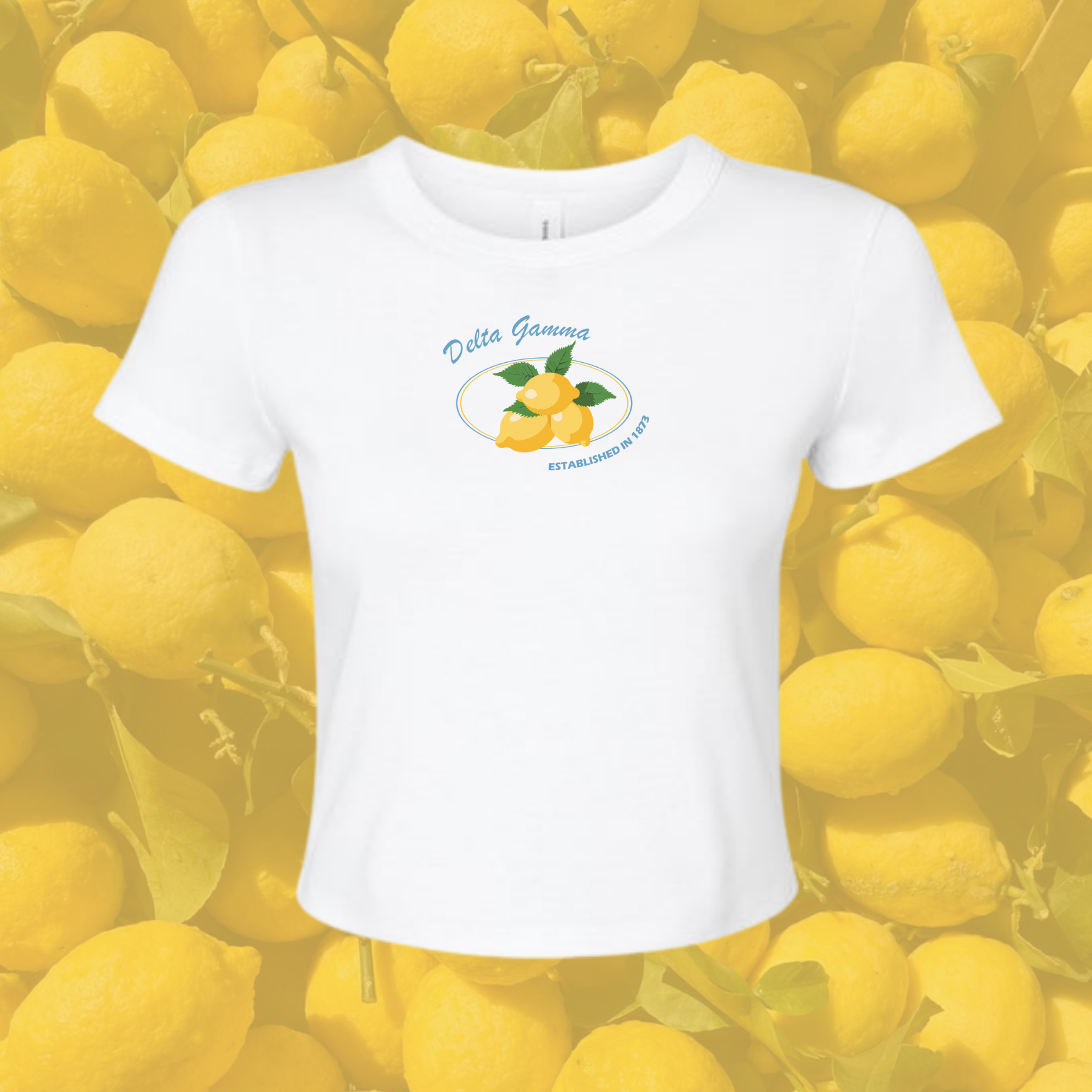 Delta Gamma Sorority Main Squeeze Baby Tee