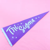 Sorority Stardust Pennant Flag