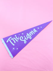Sorority Stardust Pennant Flag