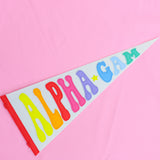Alpha Gamma Delta Rainbow Pennant Flag