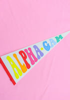 Load image into Gallery viewer, Rainbow Sorority Pennant Flag
