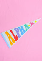 Load image into Gallery viewer, Rainbow Sorority Pennant Flag

