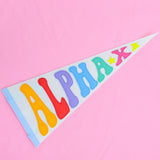 Alpha Xi Delta Rainbow Pennant Flag
