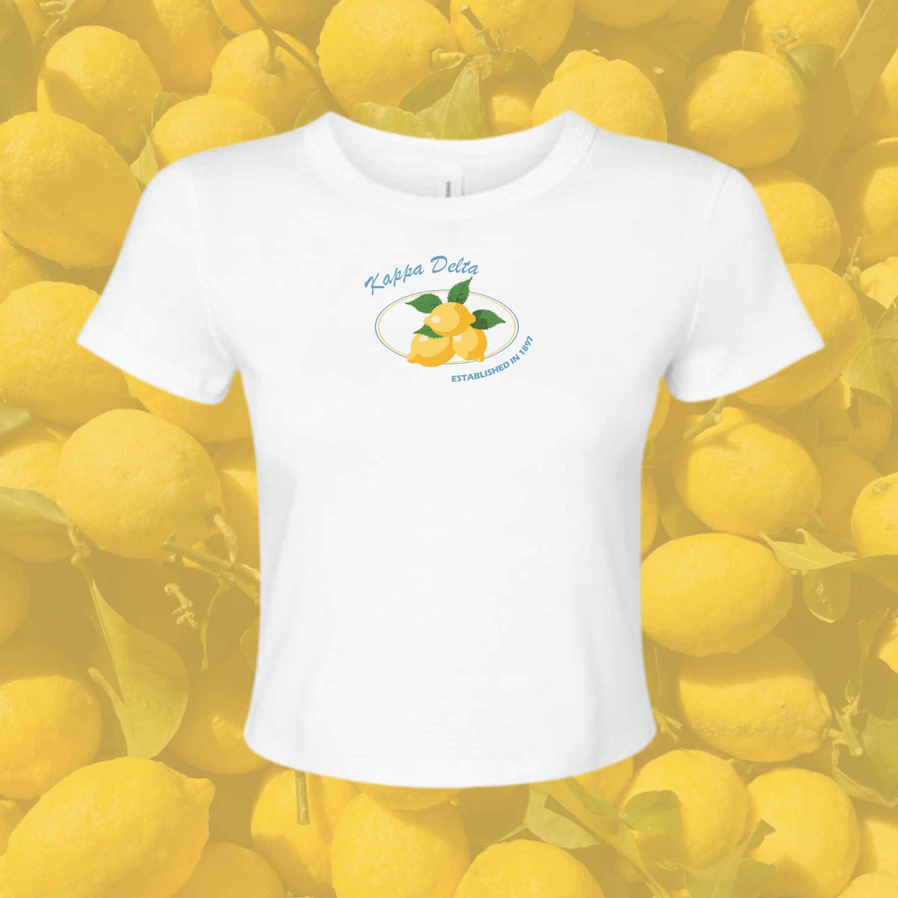 KD_2_7698c32c-a20b-4bd7-9338-bcd643e1ef9f.png