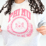 Ivy League Sorority Sweatshirt