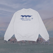 Alpha Omicron Pi Wild Horses Sorority Crewneck