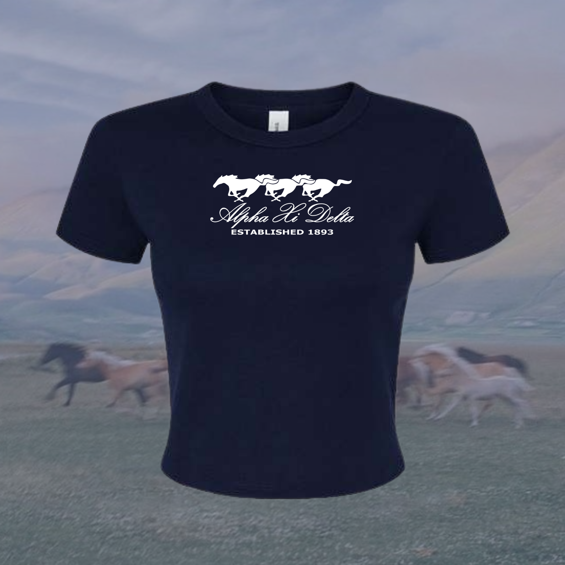 Alpha Xi Delta Wild Horses Sorority Baby Tee