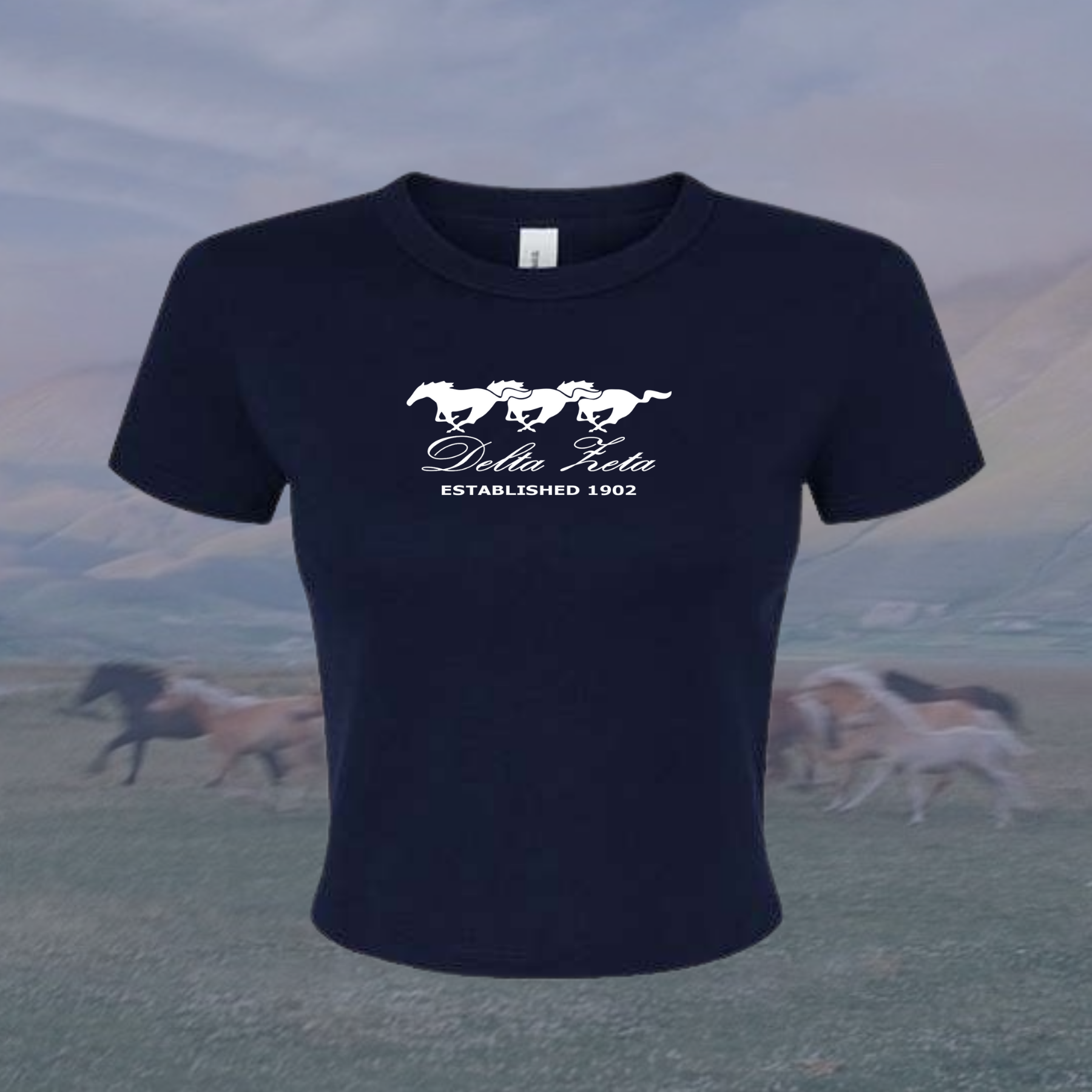 Delta Zeta Wild Horses Sorority Baby Tee