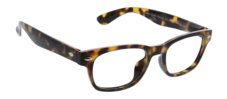 Clark Focus Tortoise - Peepers