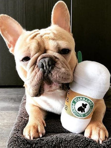 Starbarks Plush Toy