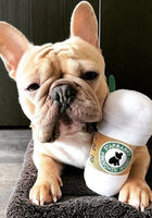 Load image into Gallery viewer, Starbarks Plush Toy
