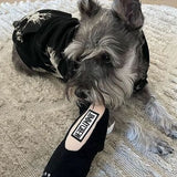 Jimmy Chew Shoe