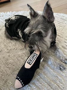 Jimmy Chew Shoe
