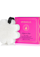 Load image into Gallery viewer, Spongelle Bulgarian Rose | Boxed Flower
