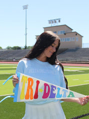Rainbow Sorority Pennant Flag