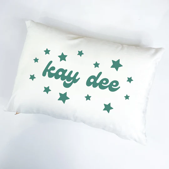 Homebody Velour Pillow