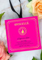 Load image into Gallery viewer, Spongelle Bulgarian Rose | Boxed Flower
